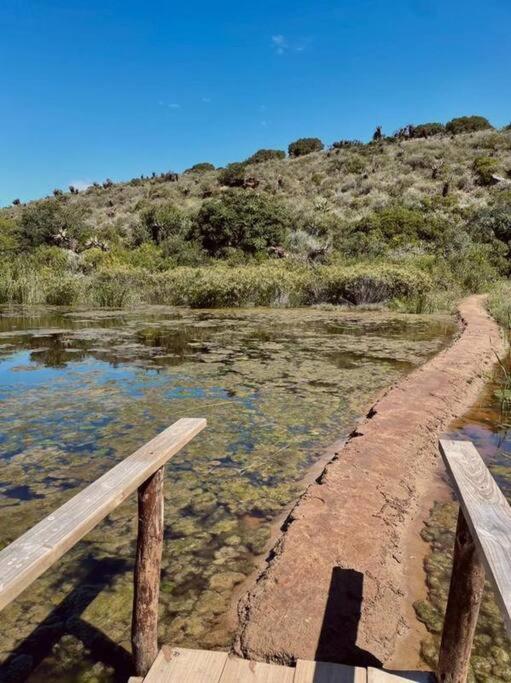 Owl Cottage - Living The Breede Malgas Екстериор снимка